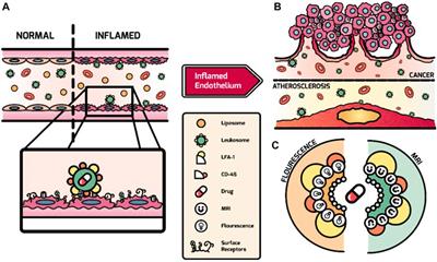 Advances in nanomaterial-based targeted drug delivery systems